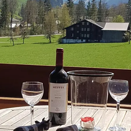Farfalla Gstaad