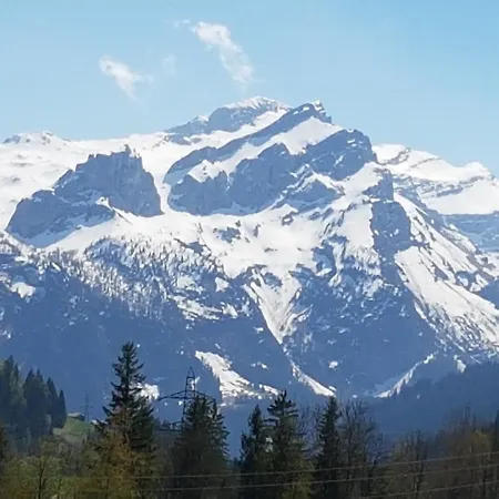 Farfalla * Gstaad