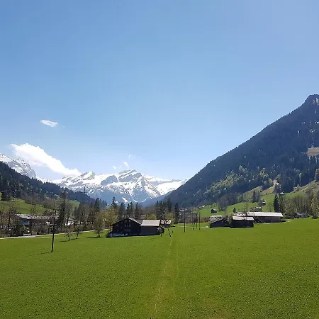 Farfalla Apartment Gstaad