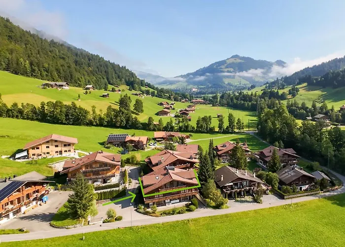 Farfalla Apartment Gstaad