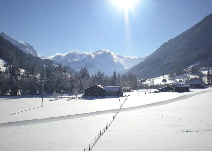 Farfalla Apartman Gstaad