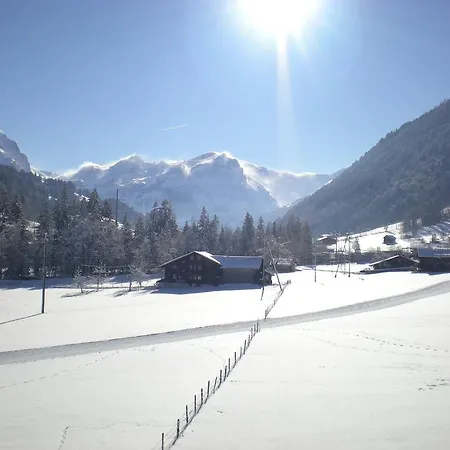 Farfalla Apartman Gstaad